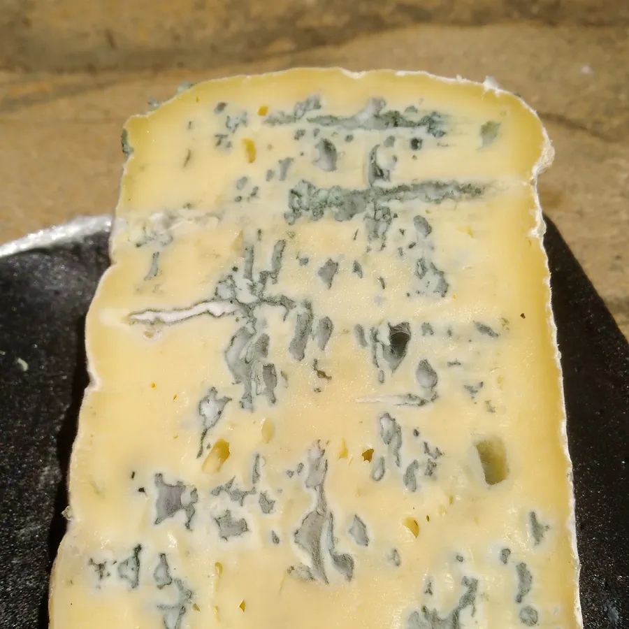 Bleu du Vercors