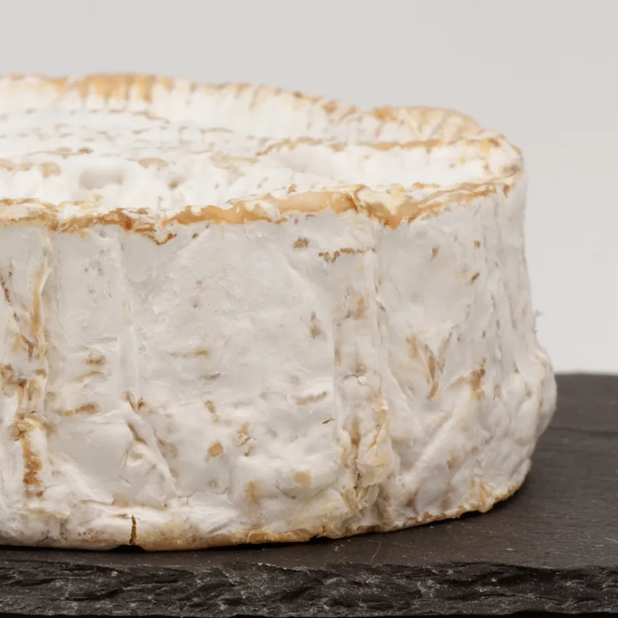 Camembert