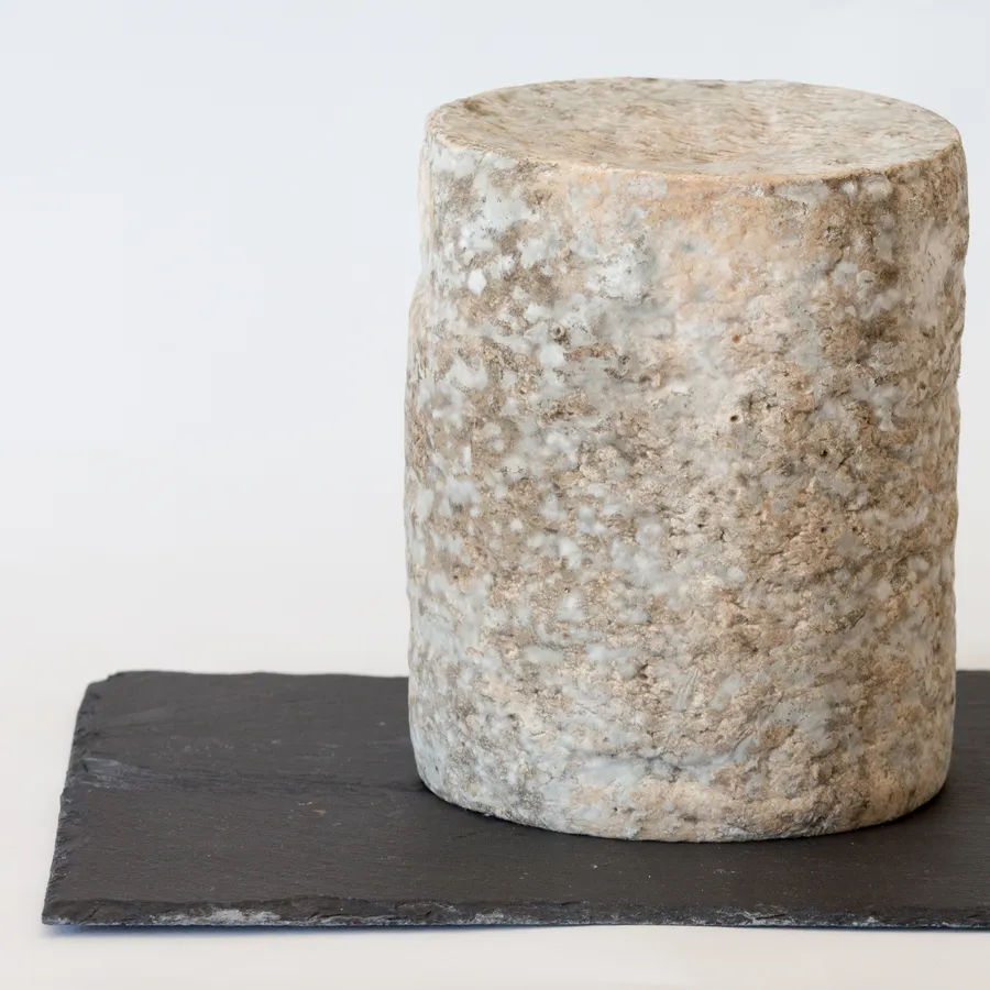 Fourme d'Ambert
