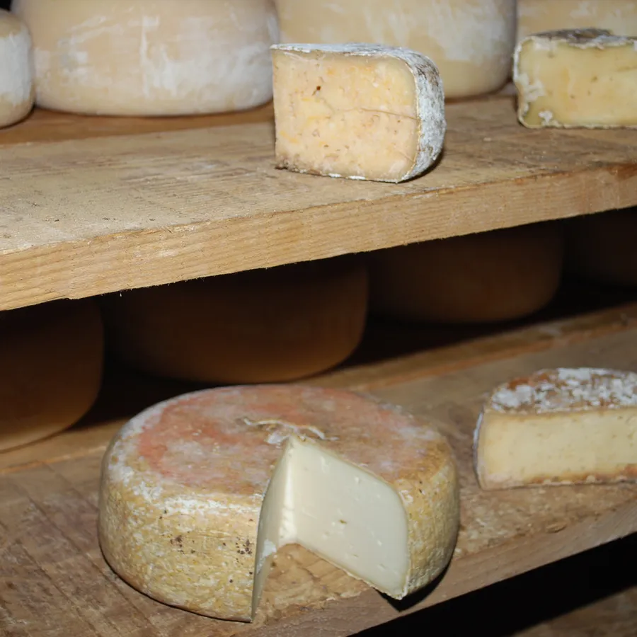 Tomme de Brebis aux Fleurs
