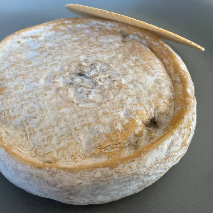 Tomme de Chevre